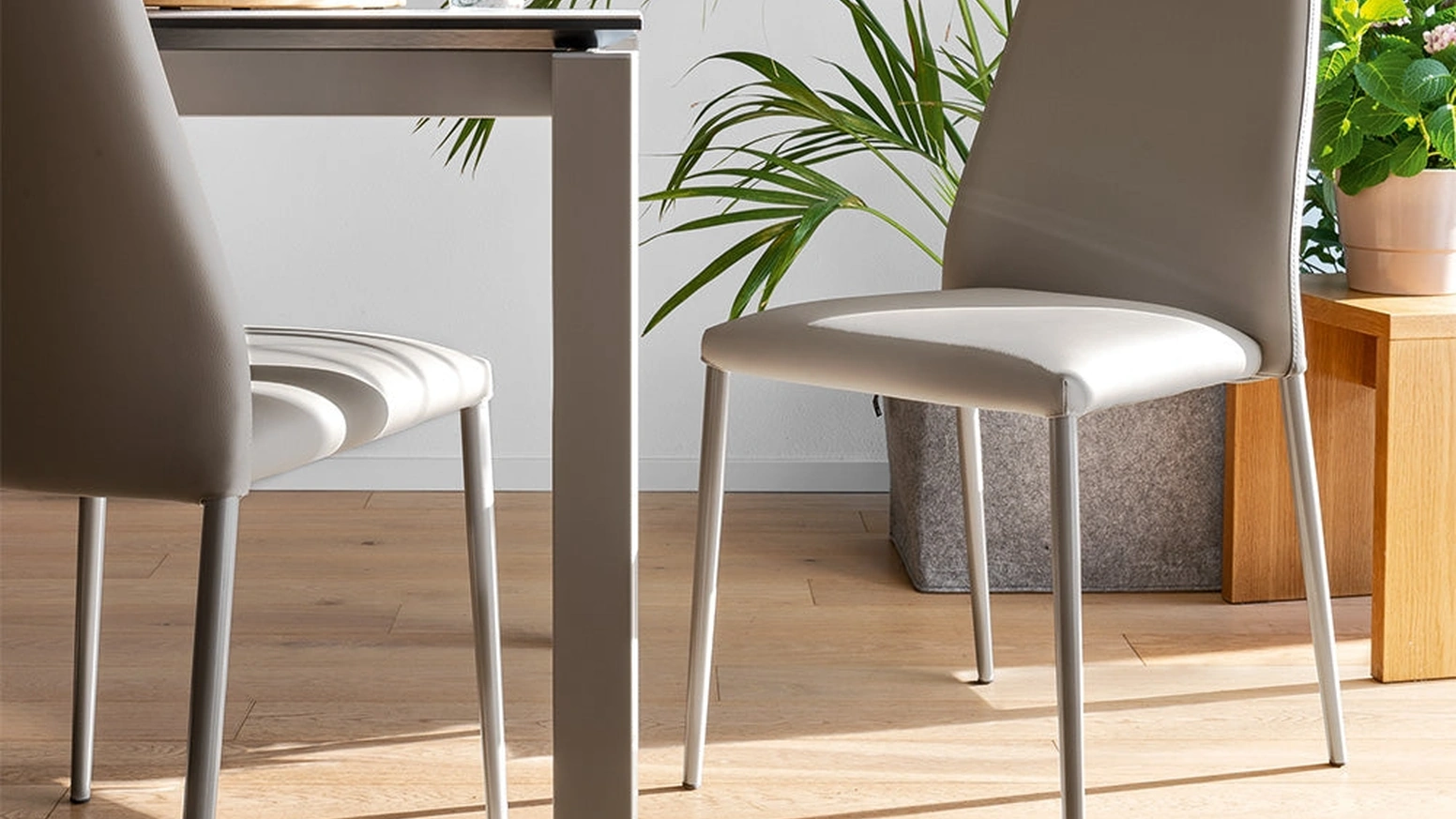 Sedia in ecopelle con struttura in metallo Club di Connubia