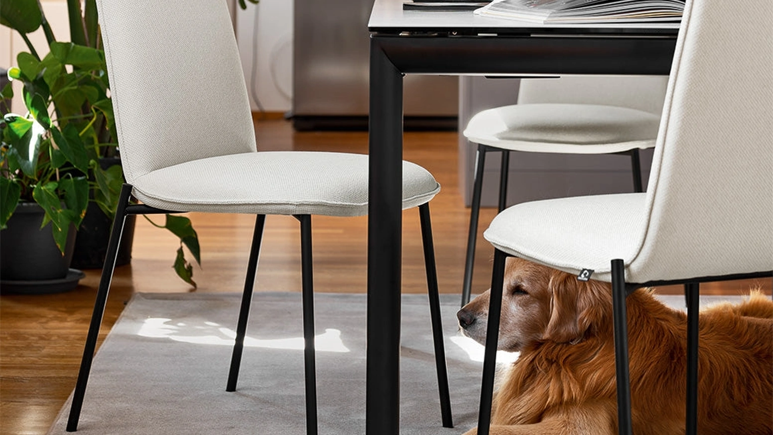 Sedia in tessuto imbottito Riley di Connubia